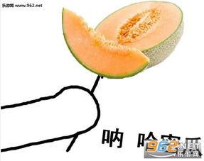 吃哈密瓜网图表情包,夏日清凉，笑果连连