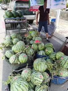 礼县网红吃瓜事件视频曝光,视频曝光引发网友热议