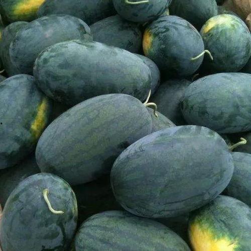 五一黑料吃瓜资源官网,揭秘五一假期热门事件幕后真相