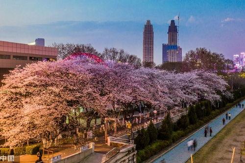 吃瓜爆料抖音网红红酒