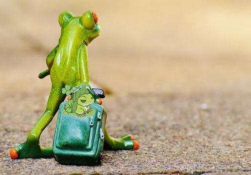 网红青蛙吃瓜让买东西