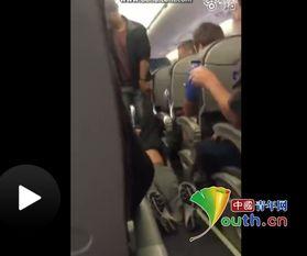 美国华人网红吃瓜视频