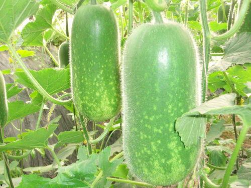 926吃瓜网,926吃瓜网带你领略明星幕后故事