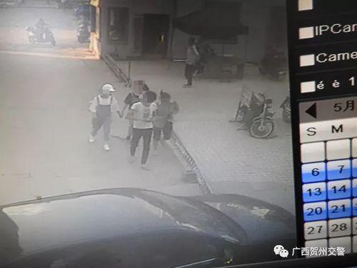 礼县吃瓜网红事件视频播放,视频播放引发全网热议