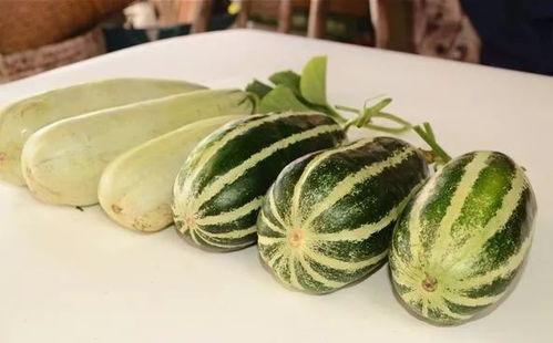 现在有哪些网红瓜可以吃,盘点当下热门话题与热议事件