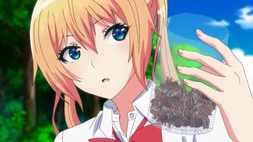 吃土少女9s吃瓜网,揭秘吃瓜网背后的故事