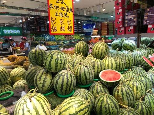 康县网红吃瓜店子是谁啊,探寻当地美食传奇